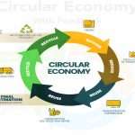 circular economy