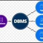 Database Interface